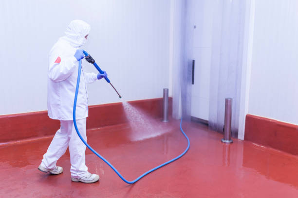 Pre-Holiday Cleaning in Midland, PA